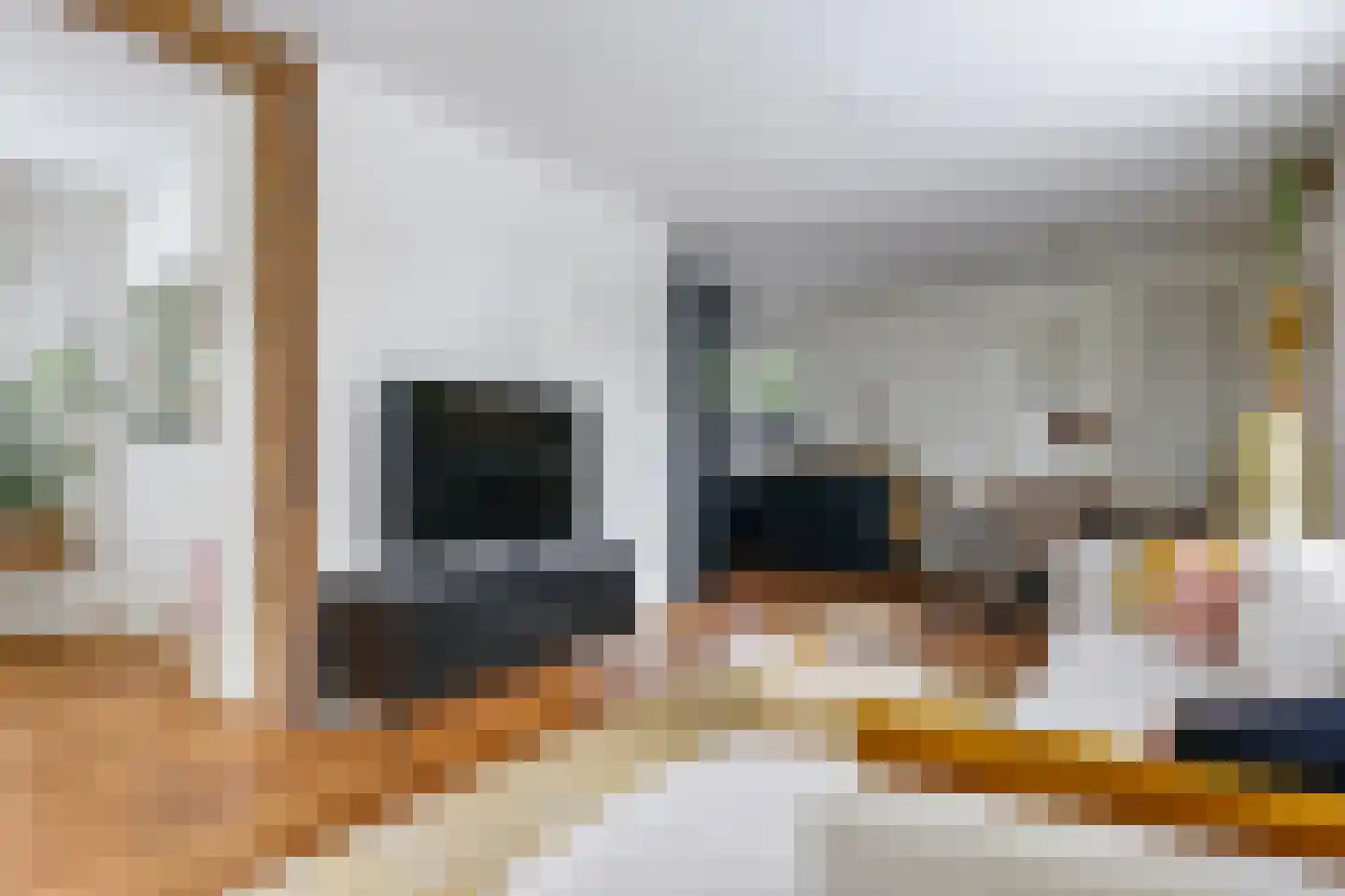 Vredesplein 4 Oosterhout thumbnail 19