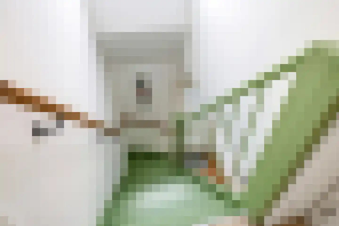 Vredesplein 4 Oosterhout thumbnail 45