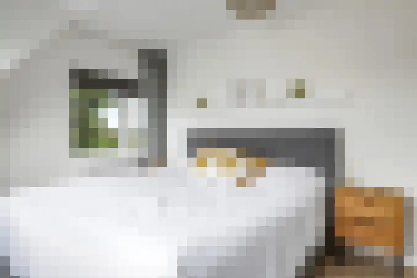 Vredesplein 4 Oosterhout thumbnail 49