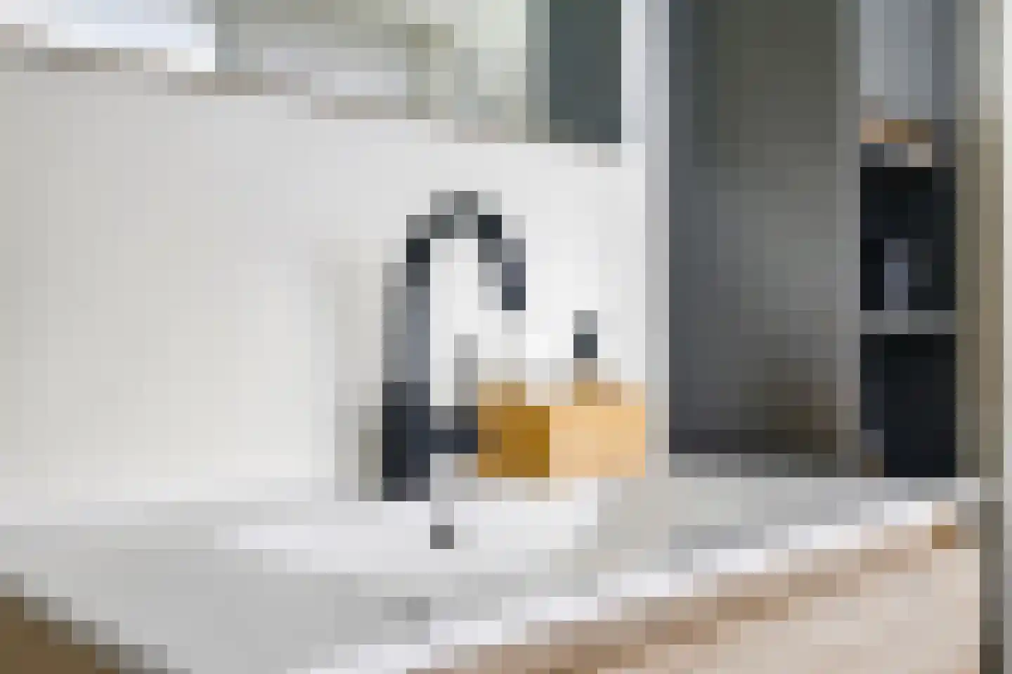 Vredesplein 4 Oosterhout thumbnail 53