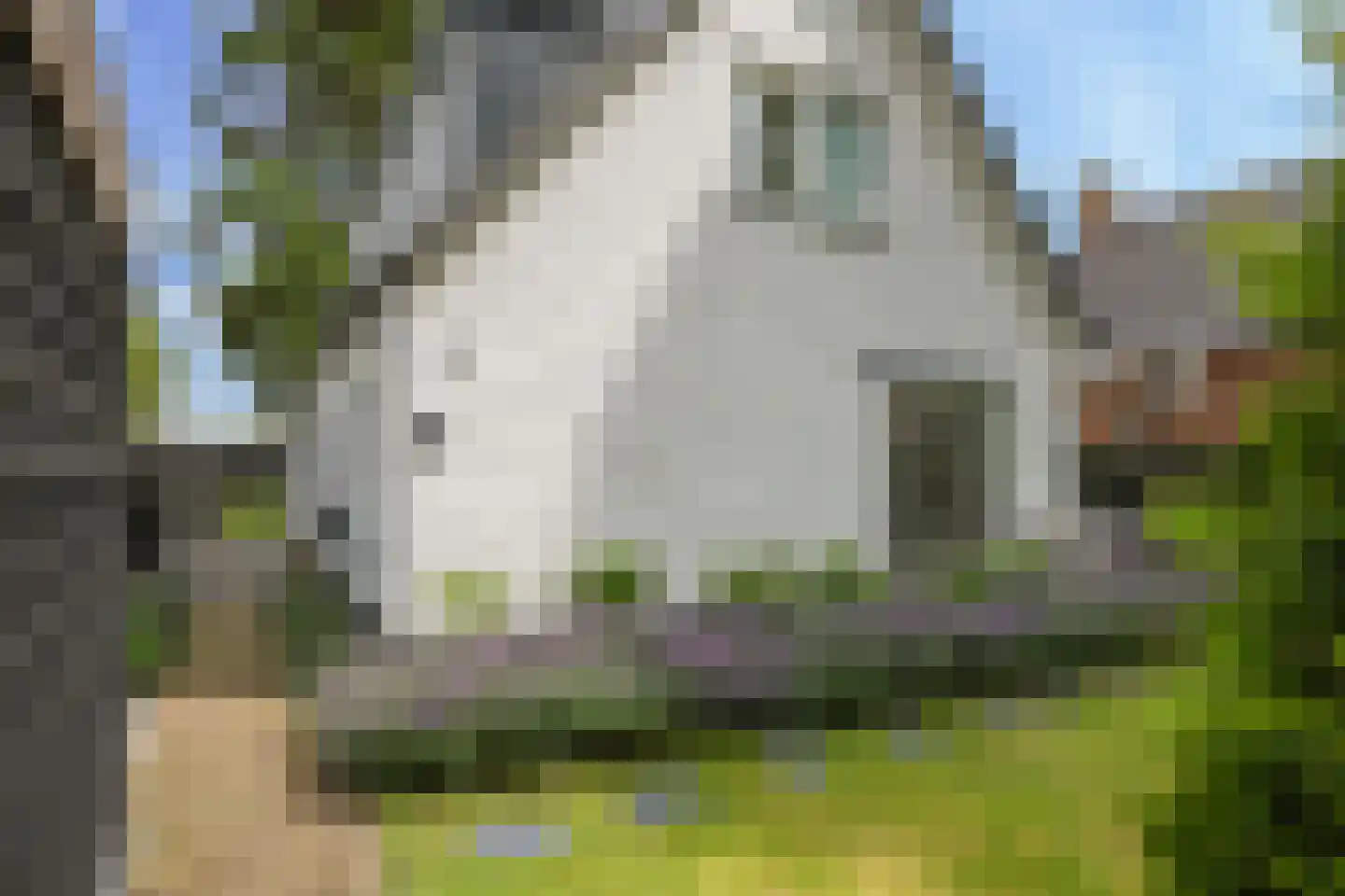 Vredesplein 4 Oosterhout thumbnail 68