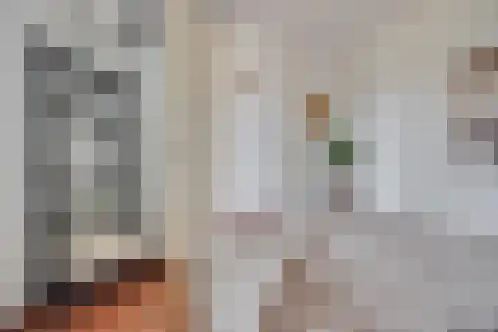 Vredesteeg 4 Utrecht thumbnail 17