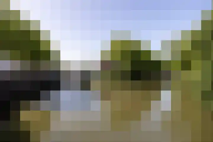 Vredesteeg 4 Utrecht thumbnail 20