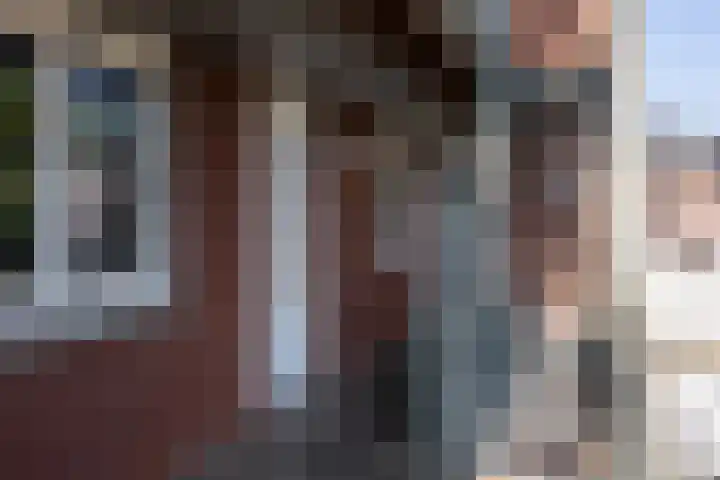 Vredesteeg 4 Utrecht thumbnail 4