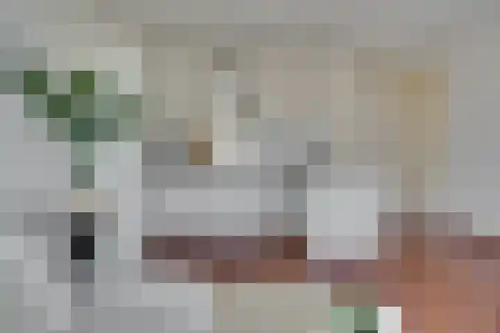 Vredesteeg 4 Utrecht thumbnail 8