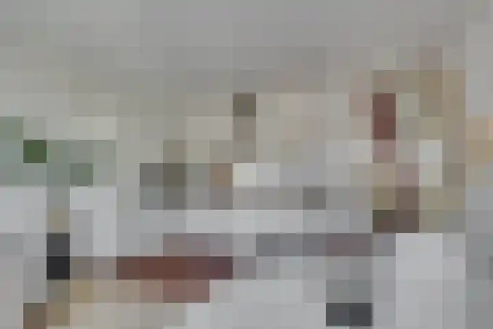 Vredesteeg 4 Utrecht thumbnail 9