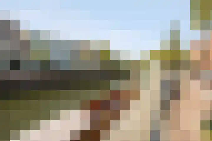 Vredesteeg 5 Utrecht thumbnail 24