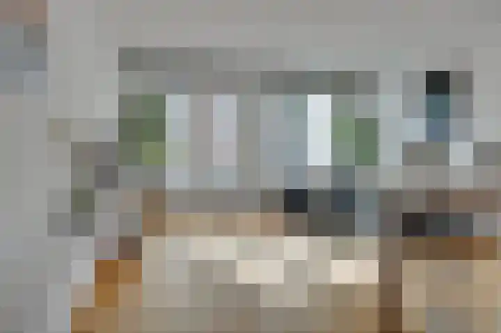 Vredesteeg 5 Utrecht thumbnail 4