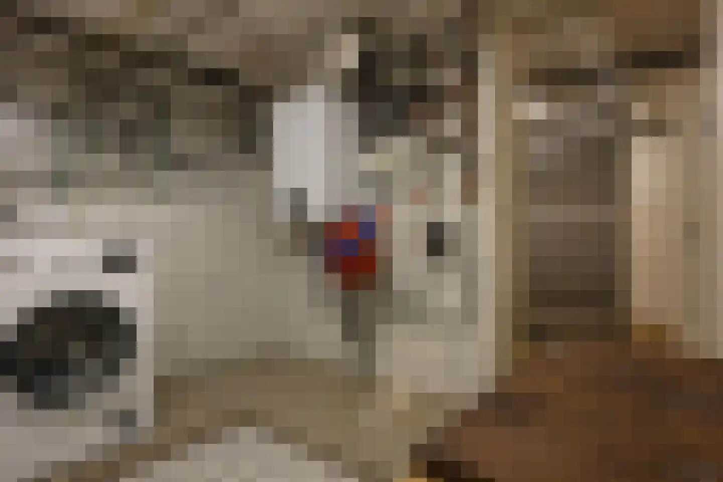 Vredestraat 17 Heerlen thumbnail 13
