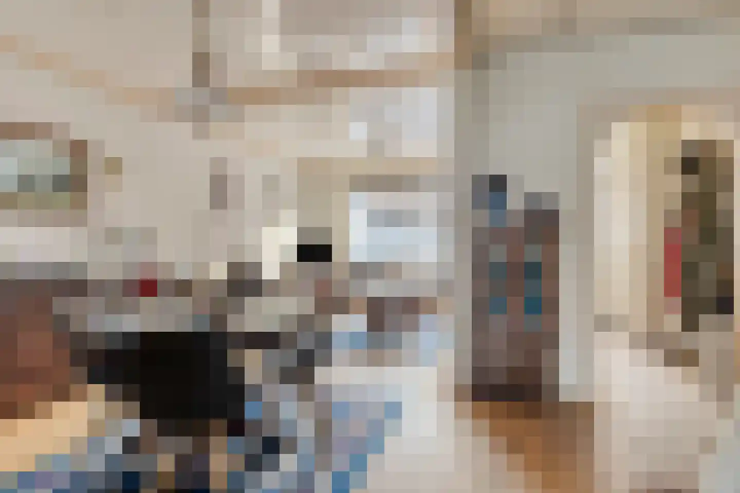 Vredestraat 21 Sas van Gent thumbnail 10