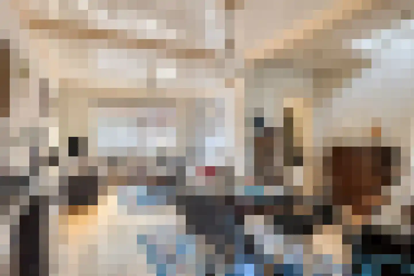 Vredestraat 21 Sas van Gent thumbnail 11