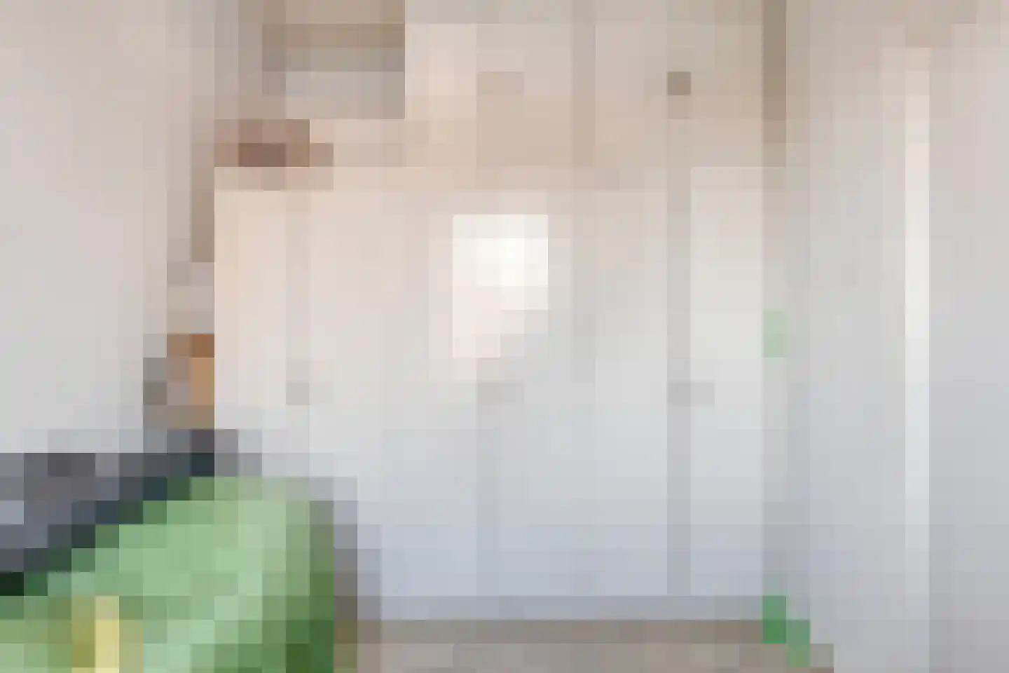 Vredestraat 21 Sas van Gent thumbnail 21