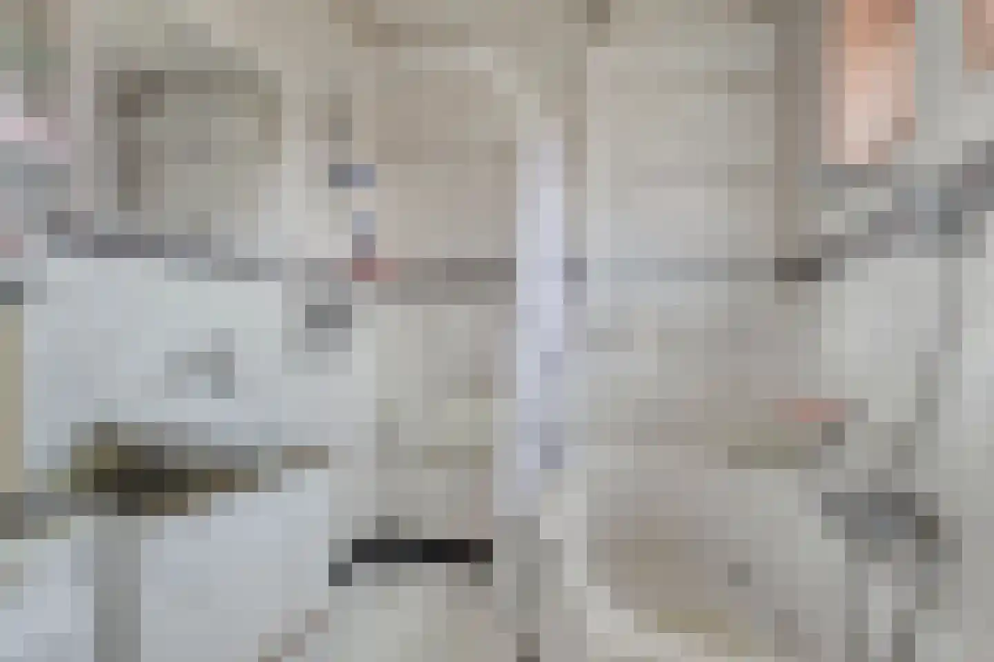 Vredestraat 21 Sas van Gent thumbnail 5