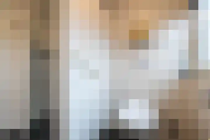 Vredeveld 22 Almelo thumbnail 18
