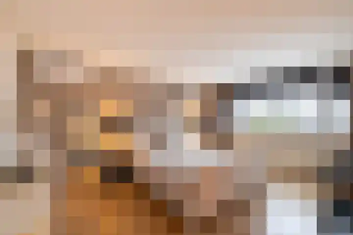 Vredeveld 22 Almelo thumbnail 19