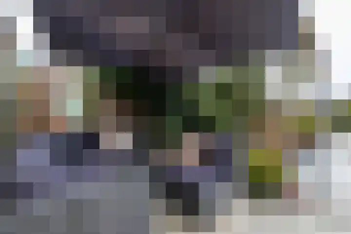 Vredeveld 22 Almelo thumbnail 29