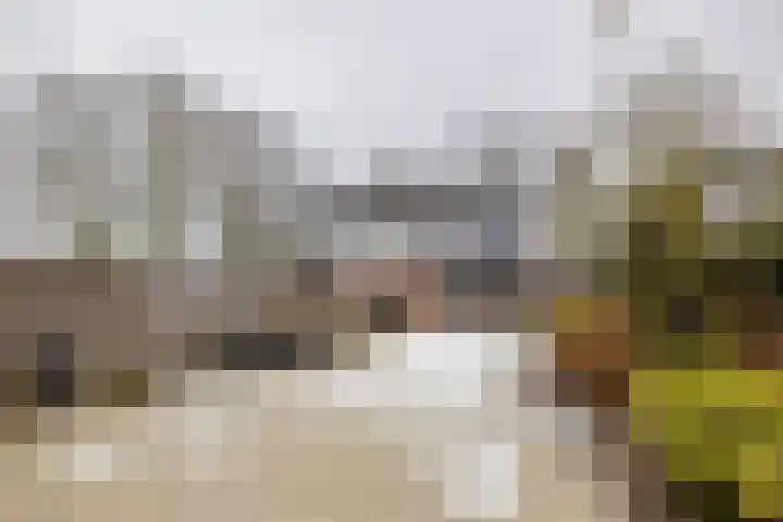 Vredeveld 22 Almelo thumbnail 30