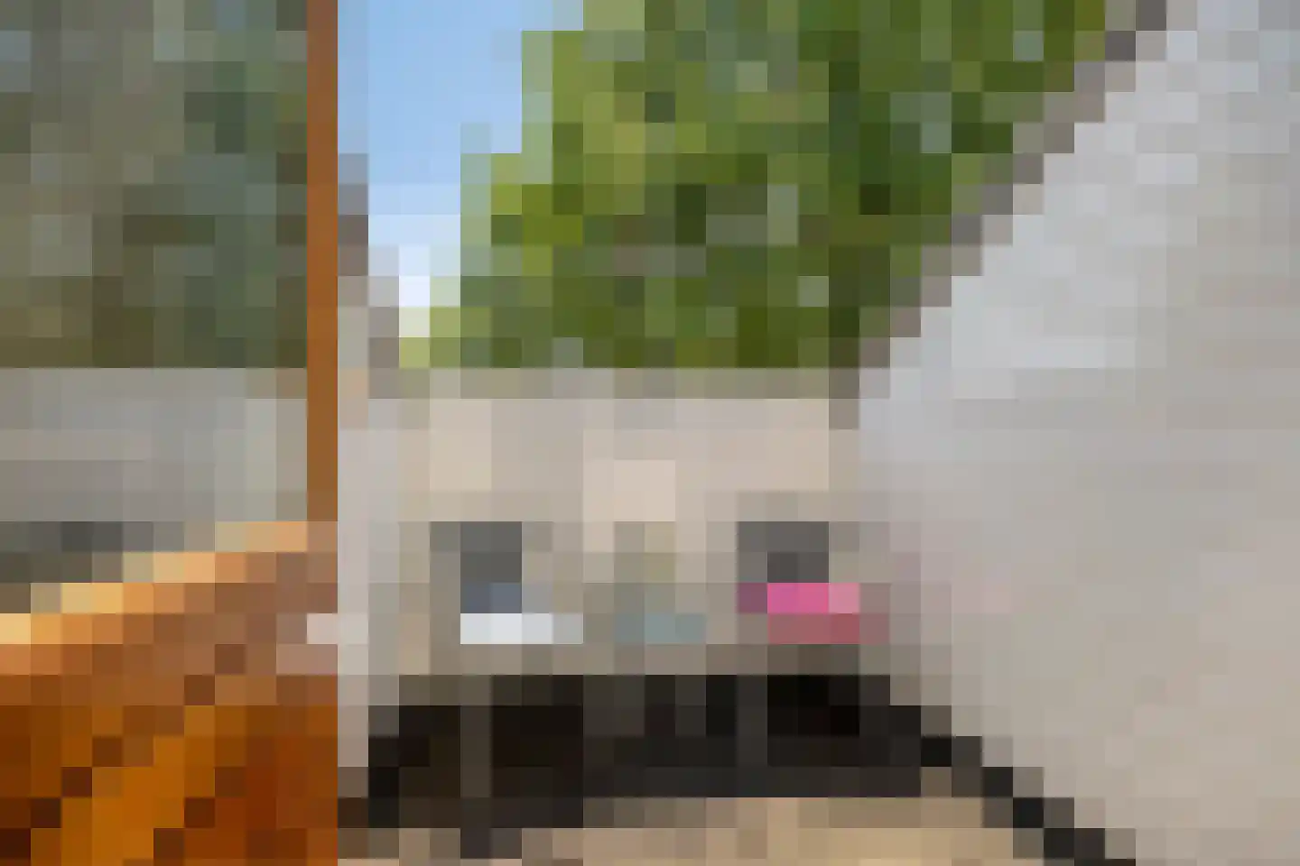Vredeveldseweg 29 Assen thumbnail 25