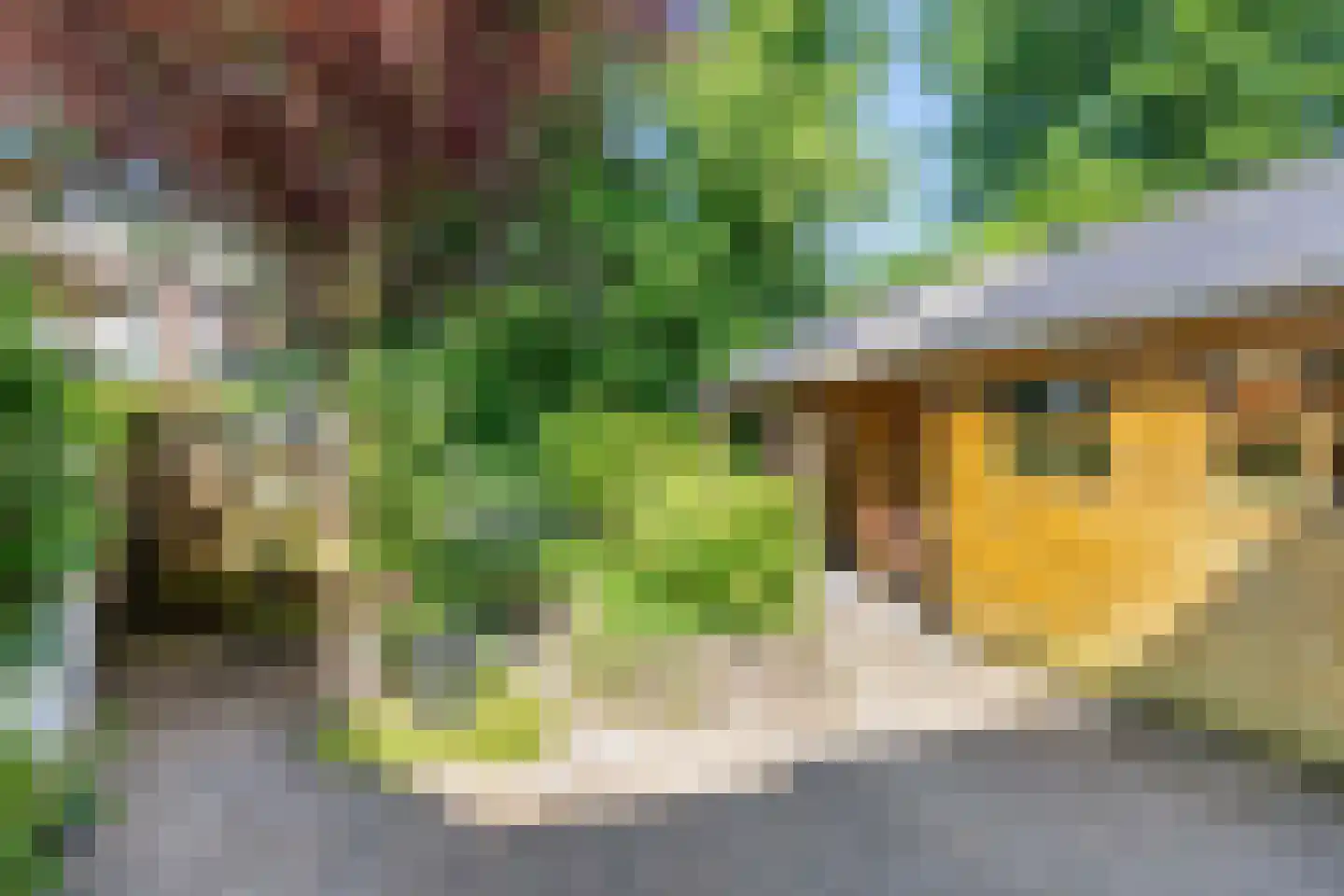 Vredeveldseweg 29 Assen thumbnail 36