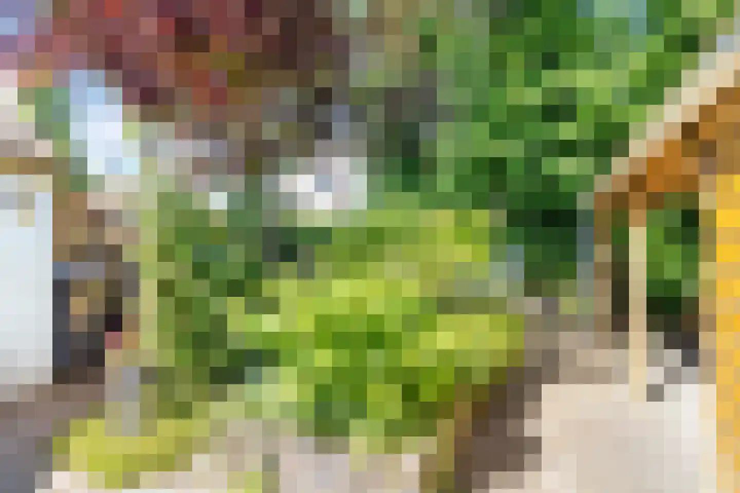 Vredeveldseweg 29 Assen thumbnail 38