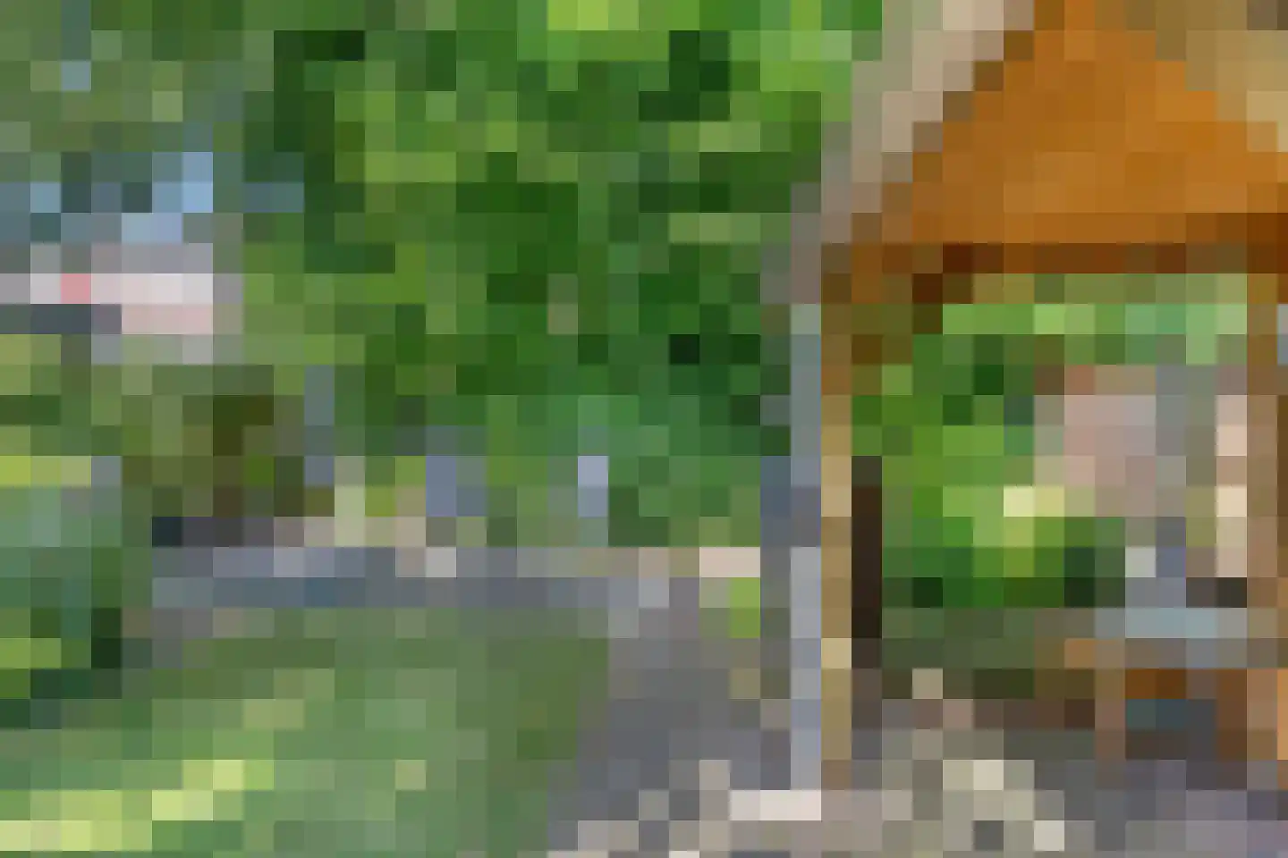 Vredeveldseweg 29 Assen thumbnail 39
