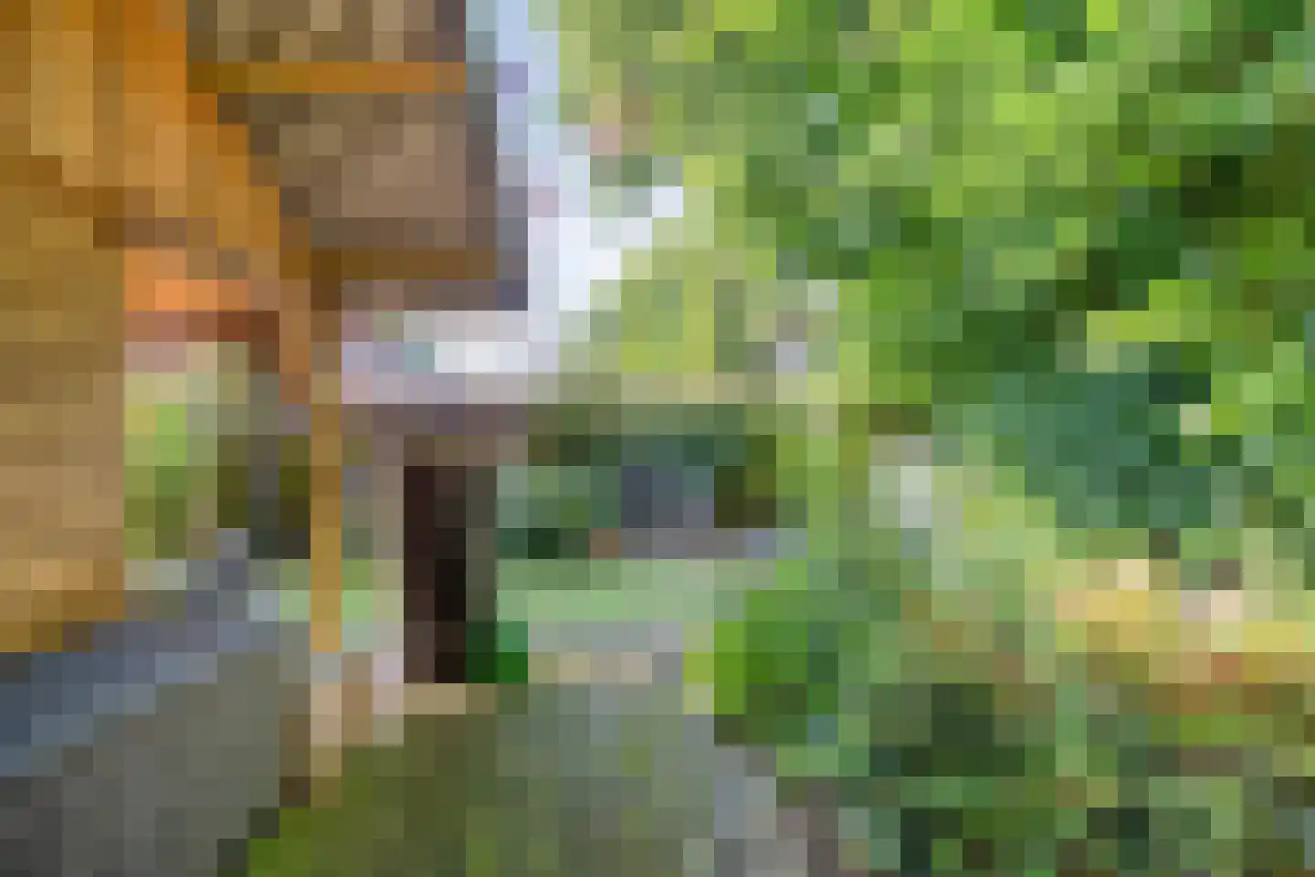 Vredeveldseweg 29 Assen thumbnail 41
