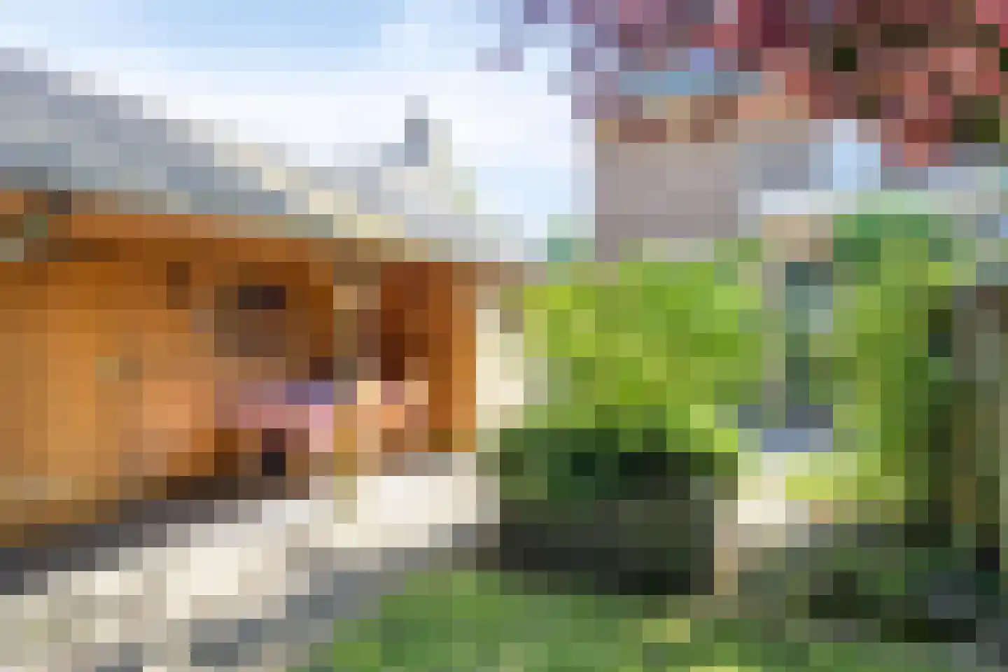 Vredeveldseweg 29 Assen thumbnail 6