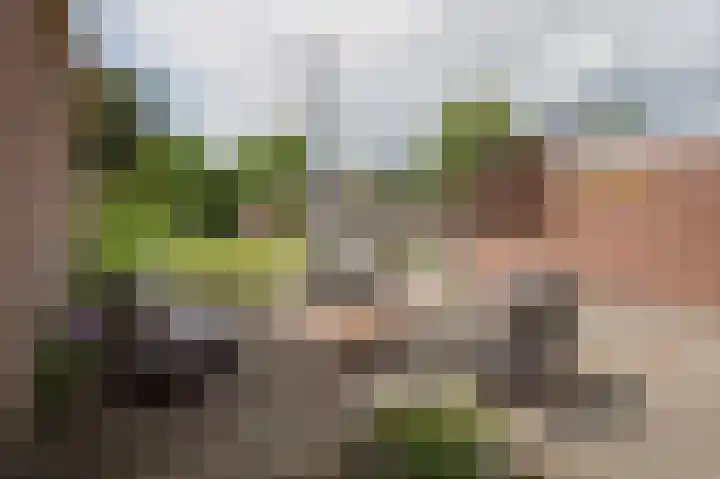 Vredeveldseweg 8 Assen thumbnail 37