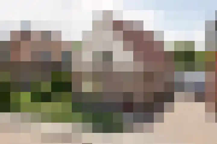 Vredeveldseweg 8 Assen thumbnail 4