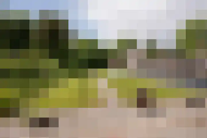 Vredeveldseweg 8 Assen thumbnail 40