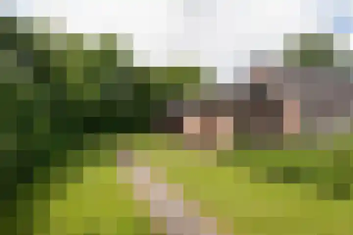 Vredeveldseweg 8 Assen thumbnail 42