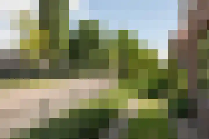 Vredeveldseweg 8 Assen thumbnail 44