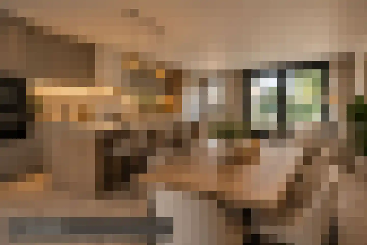 Vredeveldstraat 1 a Heeten thumbnail 14