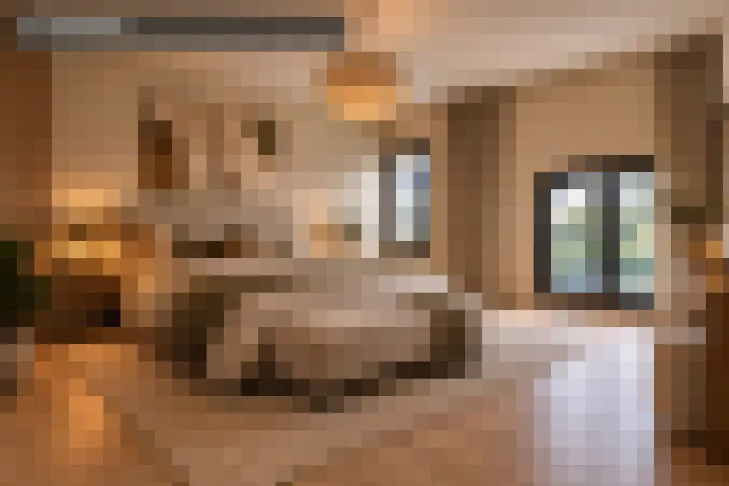 Vredeveldstraat 1 a Heeten thumbnail 30