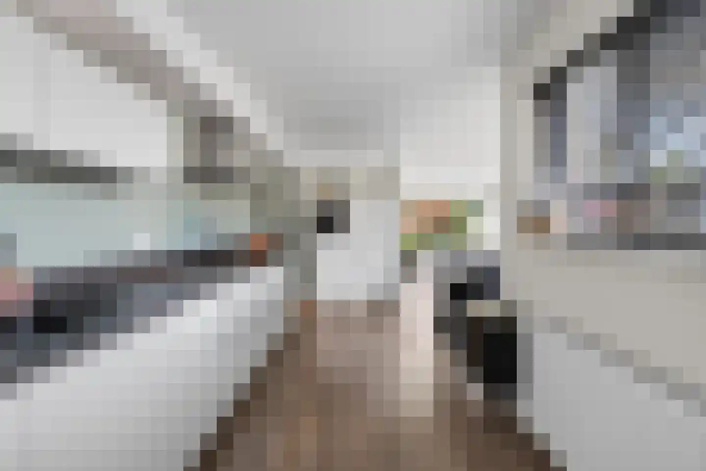 Vredeveldstraat 10 Heeten thumbnail 13