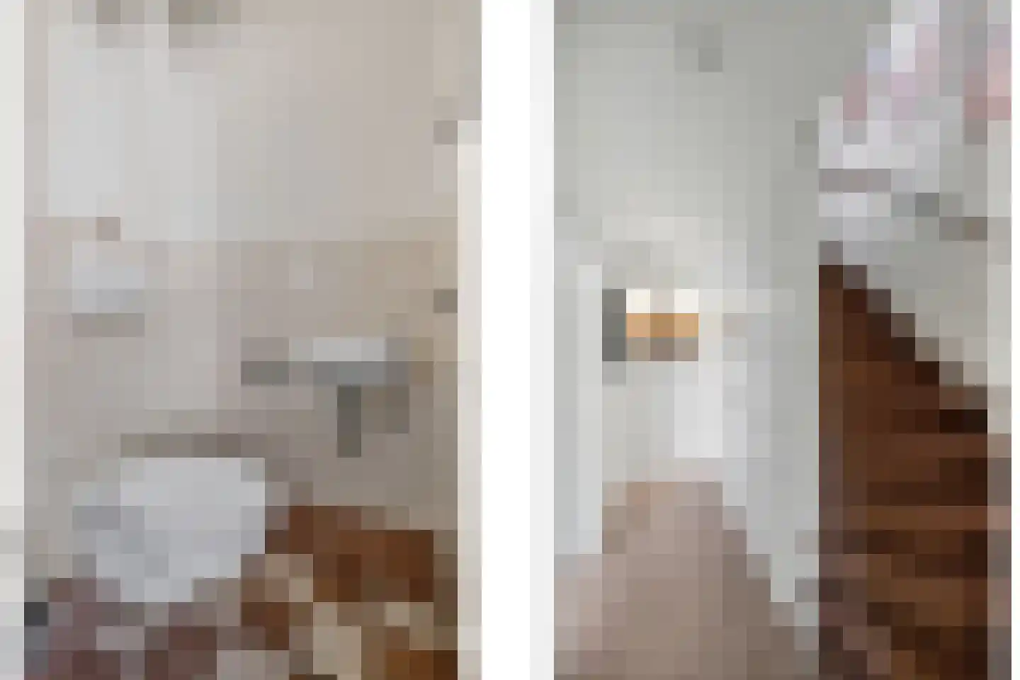 Vredeveldstraat 10 Heeten thumbnail 15