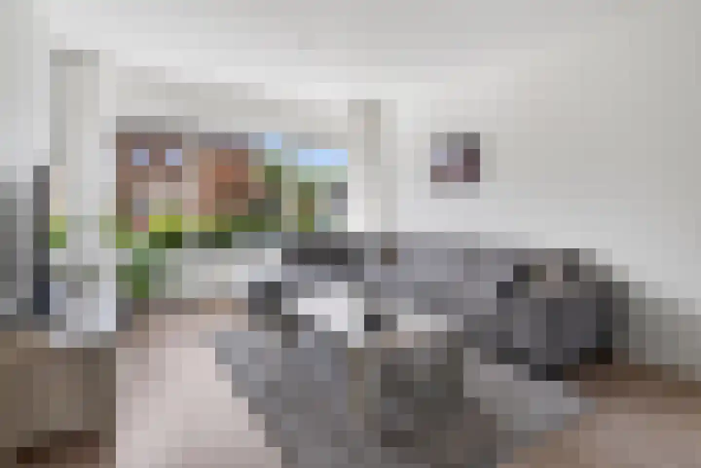Vredeveldstraat 10 Heeten thumbnail 5