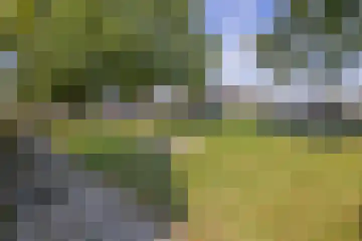 Vredewold 21 Veendam thumbnail 31