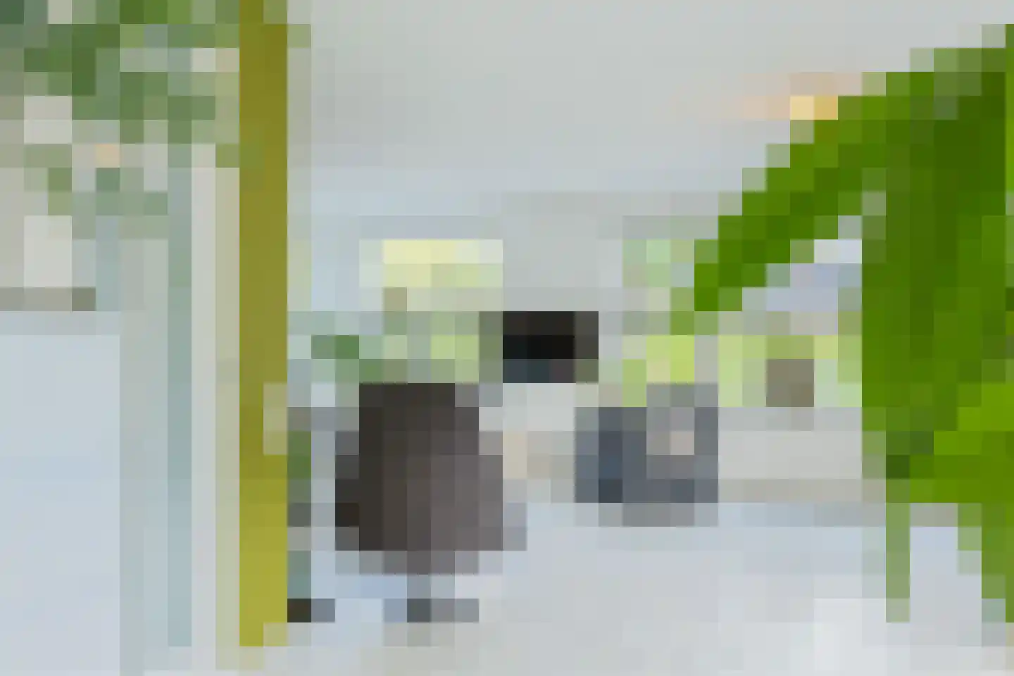Vredewoldlaan 72 Groningen thumbnail 14