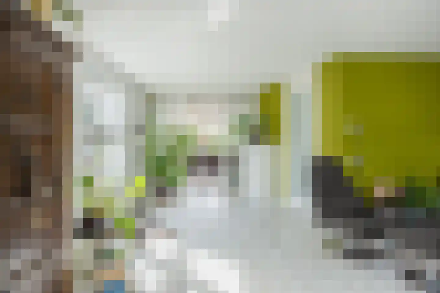 Vredewoldlaan 72 Groningen thumbnail 18