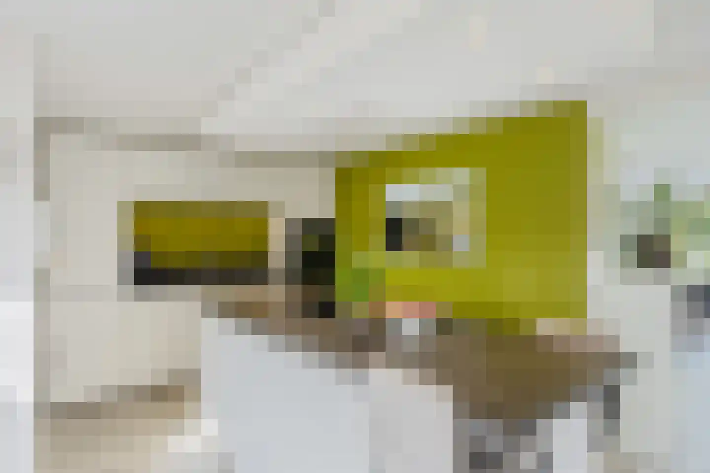Vredewoldlaan 72 Groningen thumbnail 22