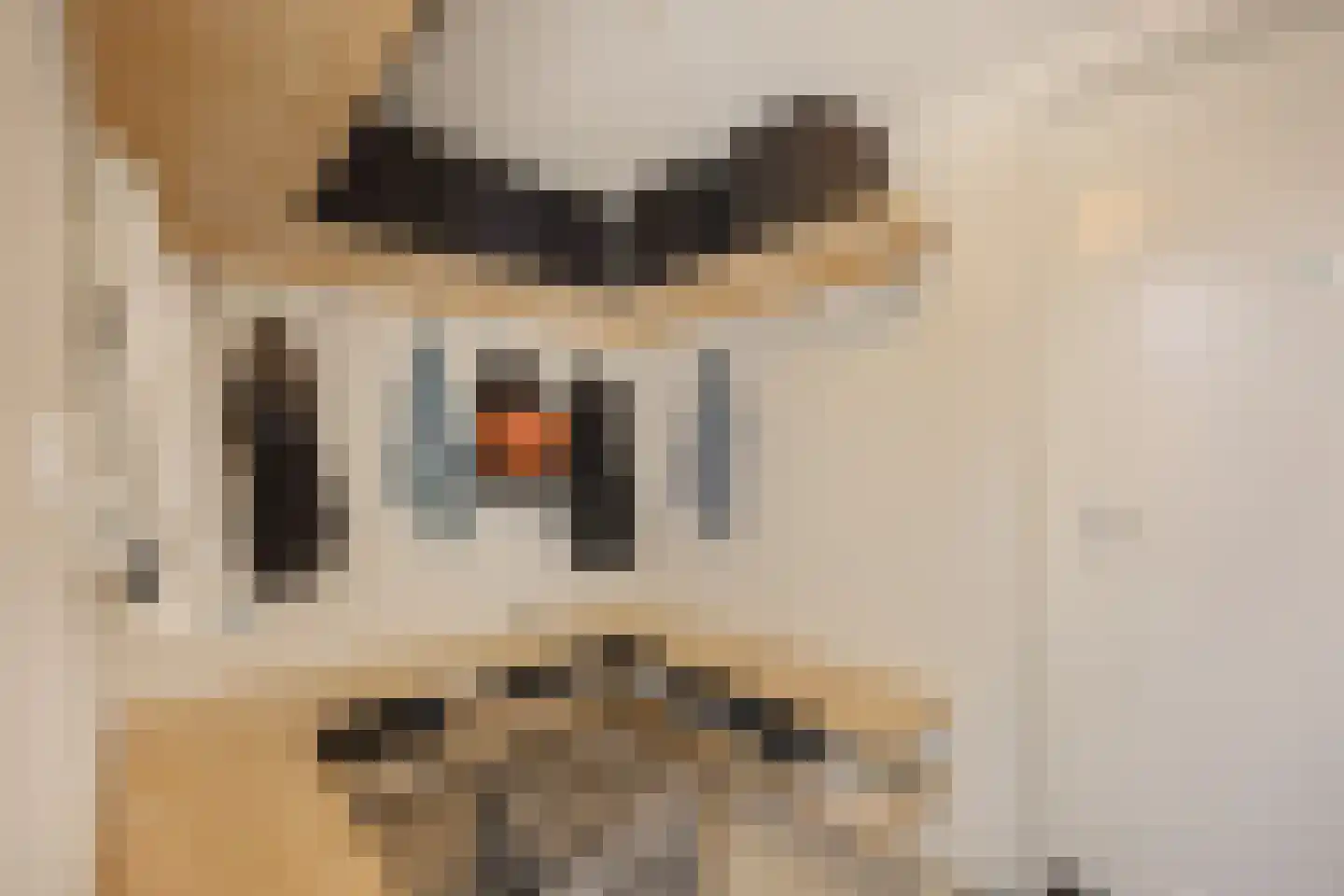 Vredewoldlaan 72 Groningen thumbnail 28