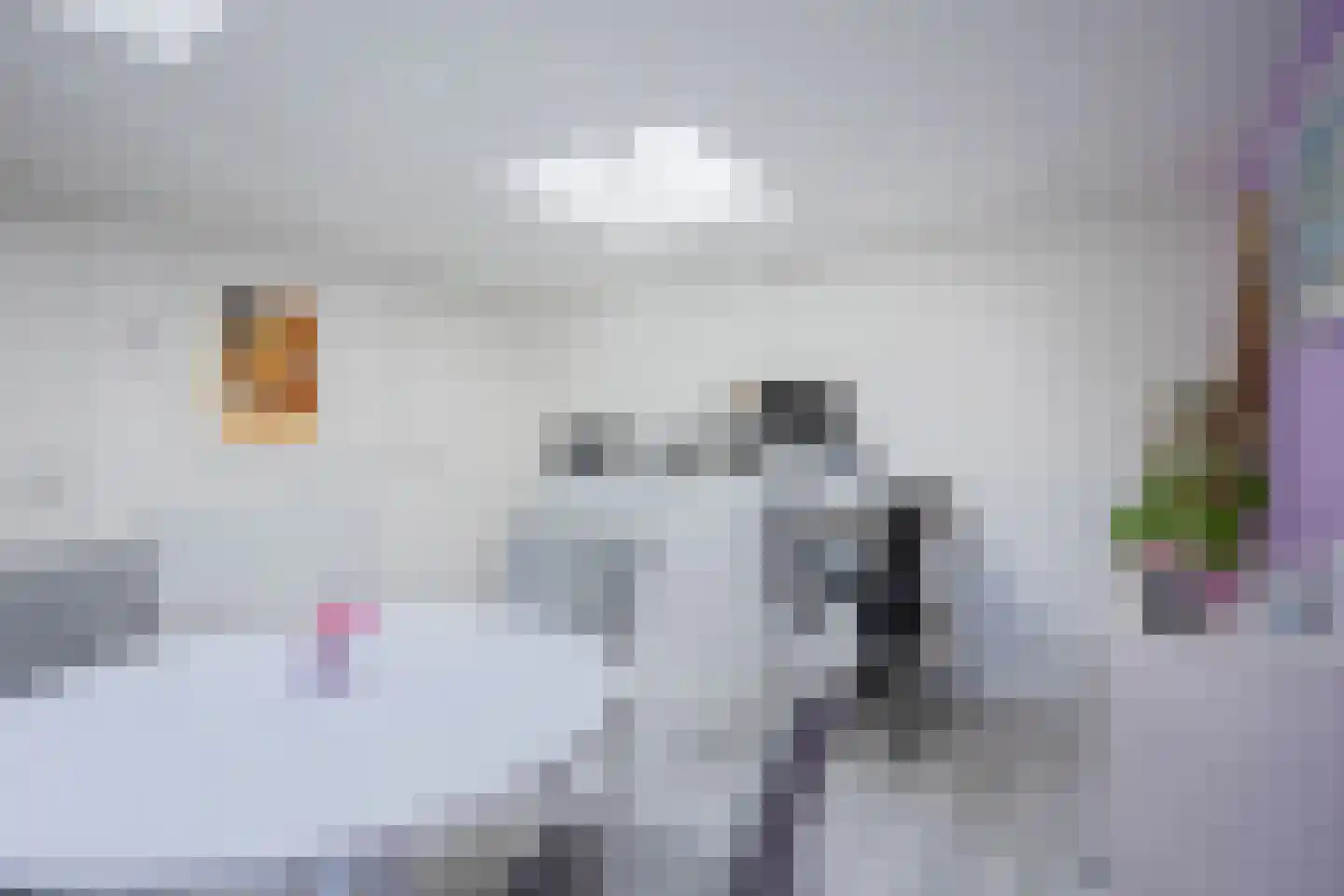 Vredewoldlaan 72 Groningen thumbnail 33