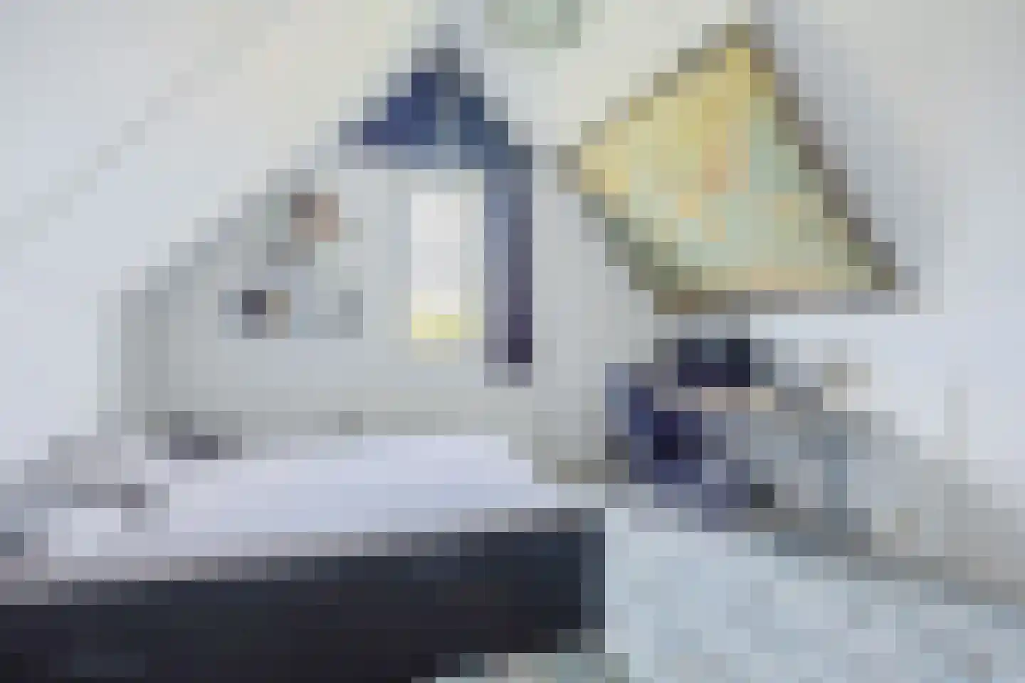 Vredewoldlaan 72 Groningen thumbnail 48