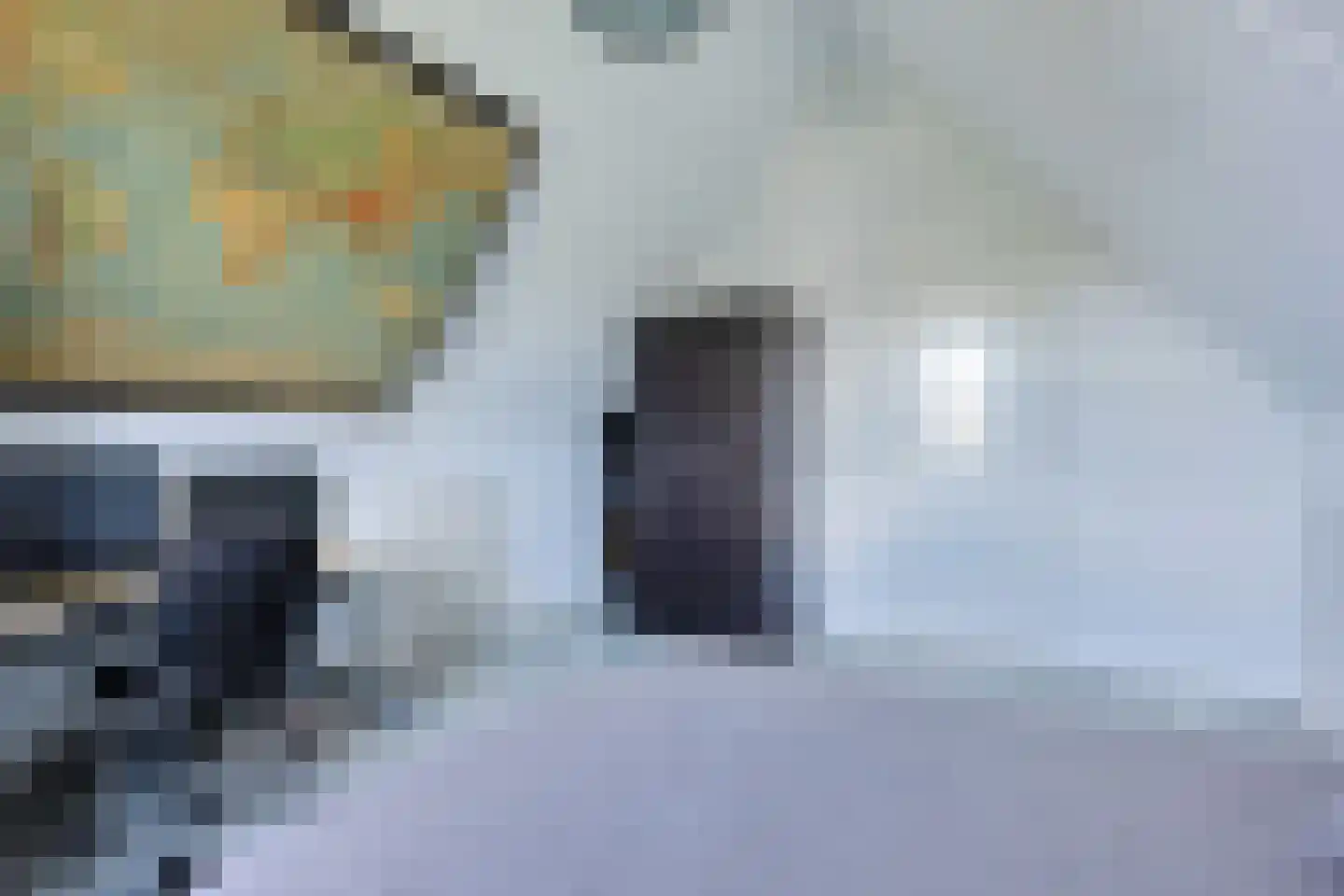 Vredewoldlaan 72 Groningen thumbnail 50