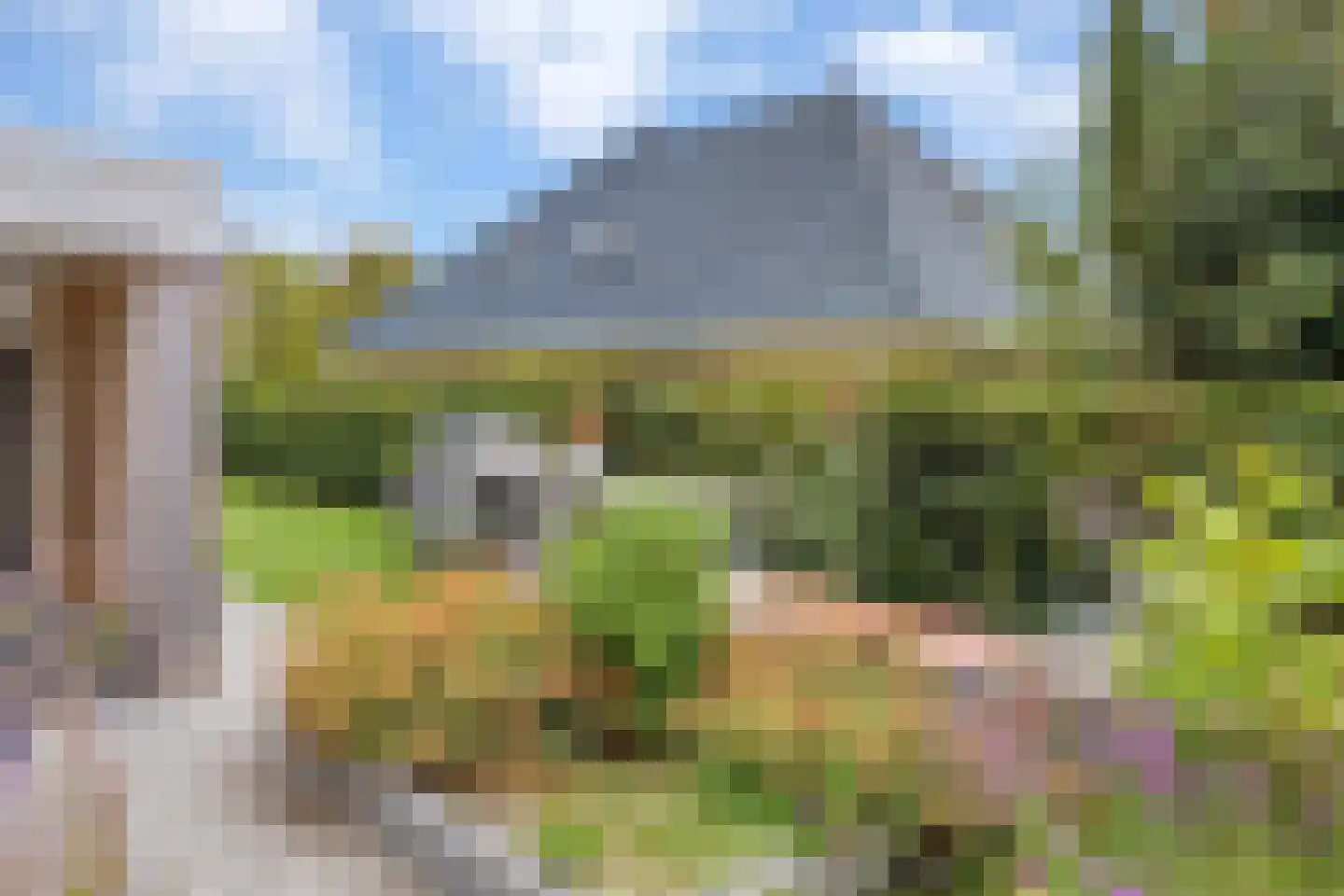 Vredewoldlaan 72 Groningen thumbnail 57