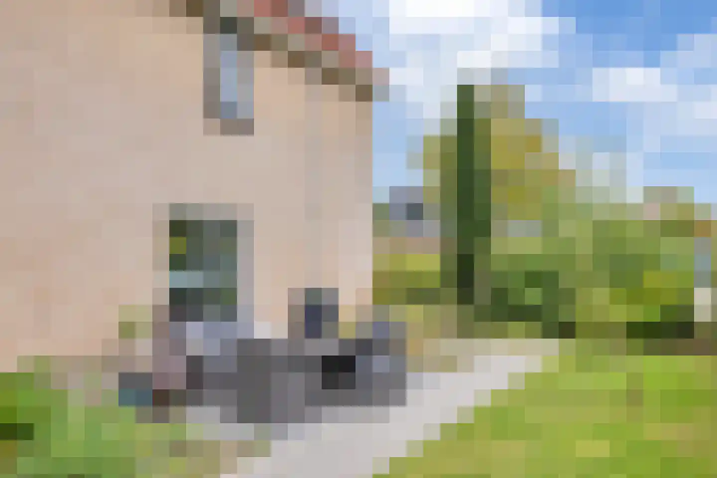 Vredewoldlaan 72 Groningen thumbnail 59