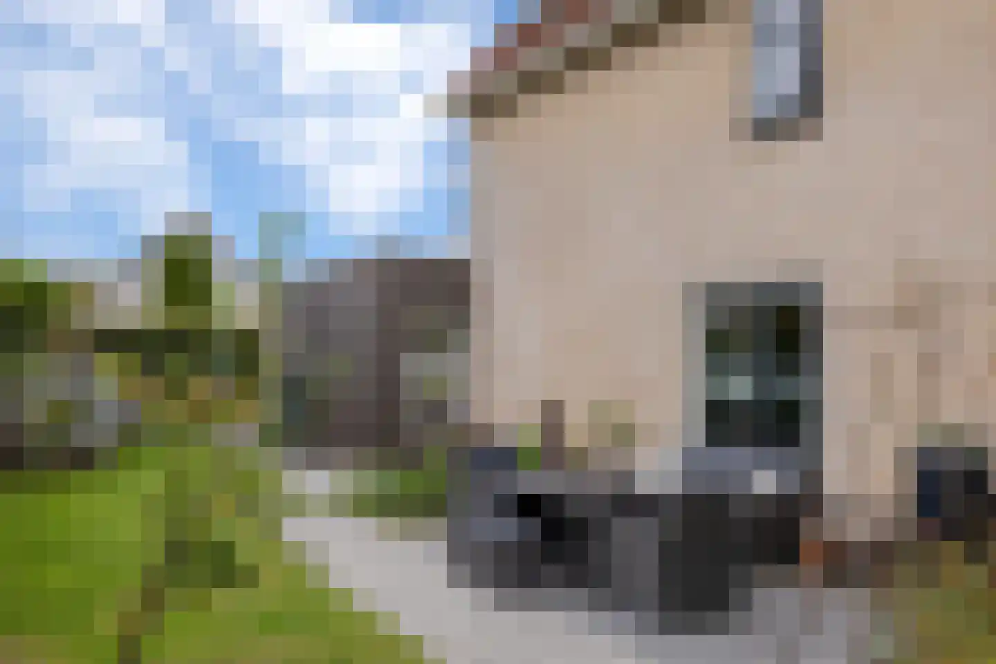 Vredewoldlaan 72 Groningen thumbnail 61
