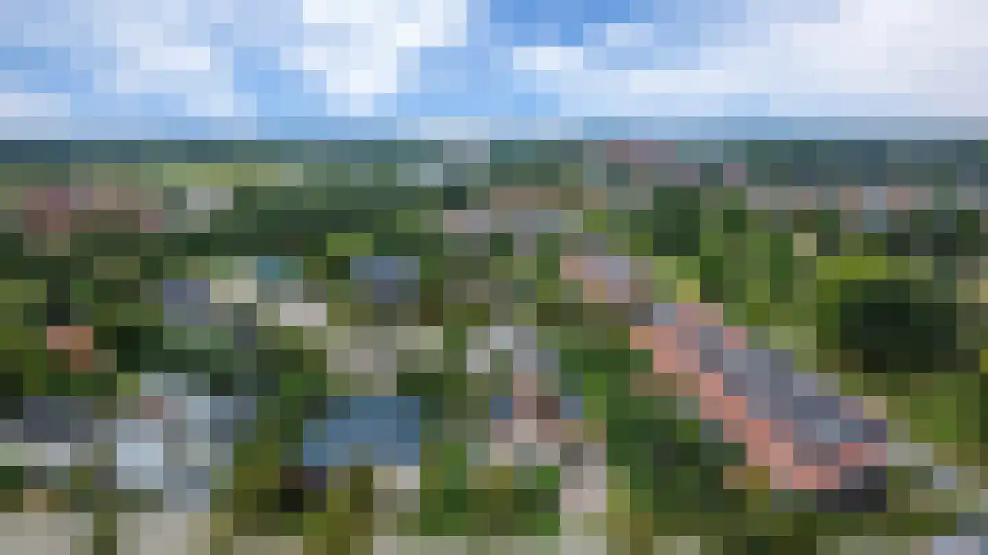 Vredewoldlaan 72 Groningen thumbnail 74