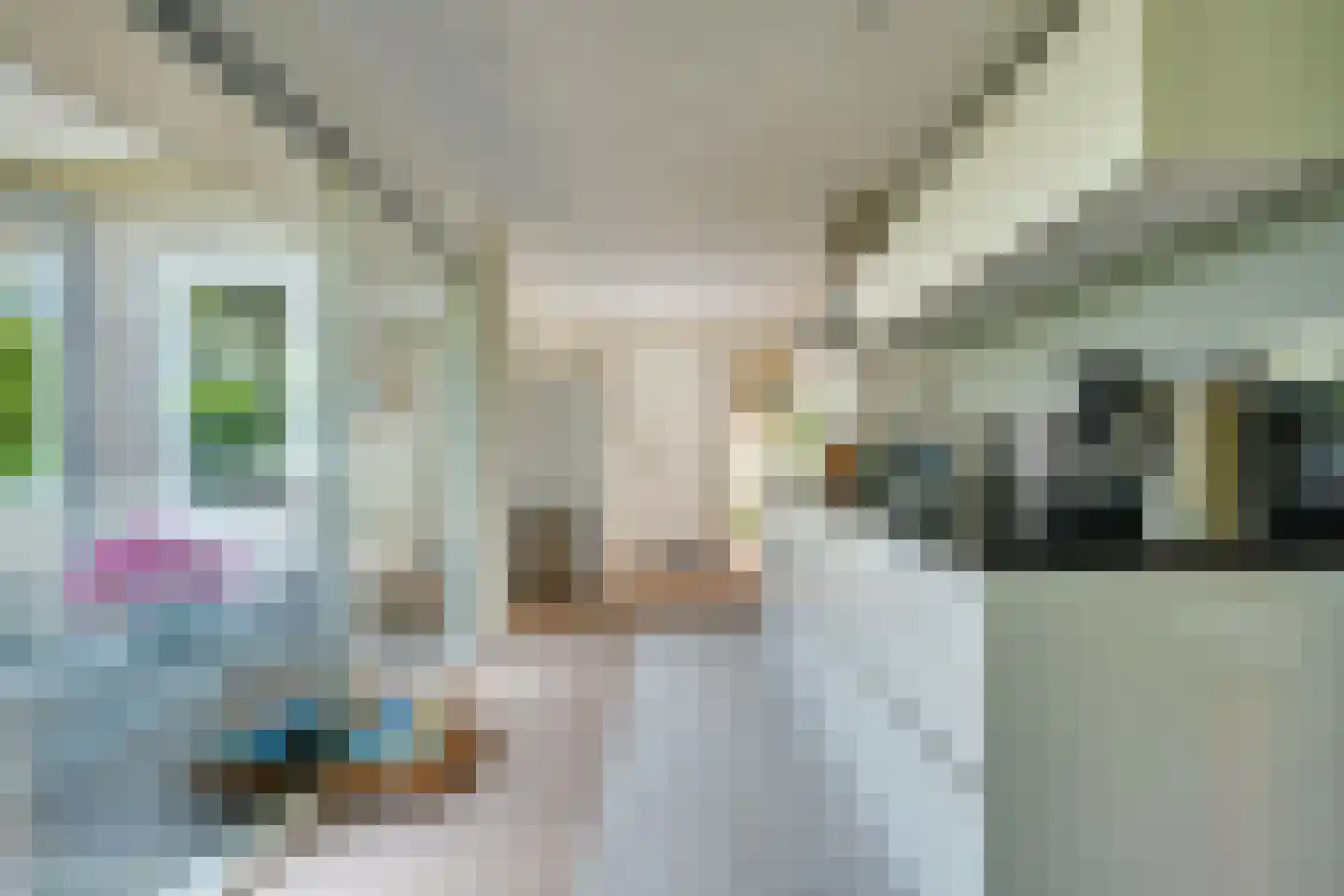 Vreebergen 12 Assen thumbnail 21